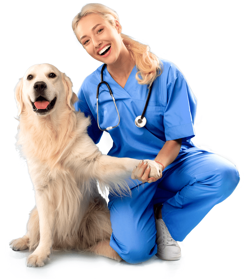1-nurse-in-scrubs-uniform-and-stethoscope-posing-wit-DRGVVYC