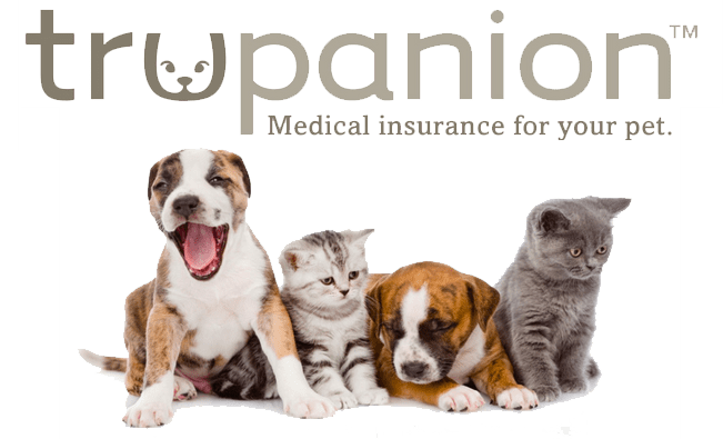 trupanion trupanion pet insurance logo